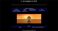 Desktop Screenshot of casimpkinsjr.radiantdolphinpress.com